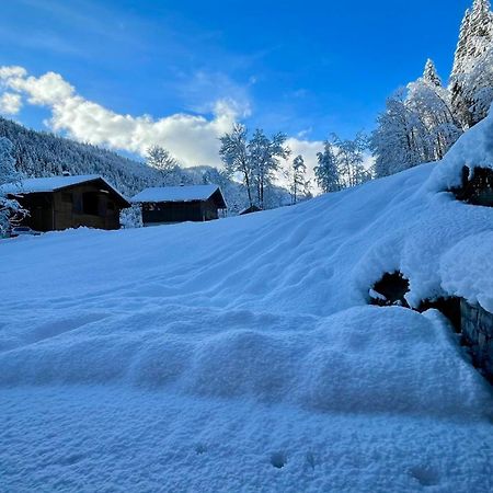 Chalet Birdie Le Grand-Bornand Buitenkant foto
