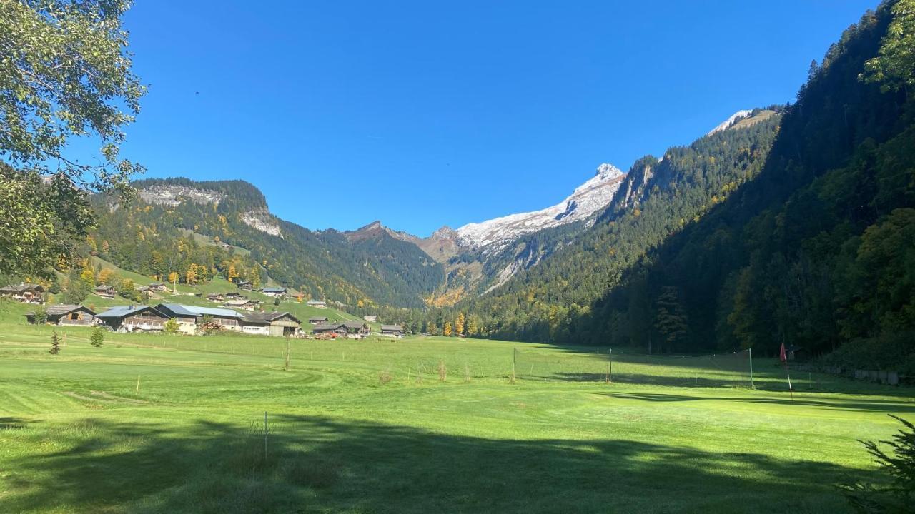 Chalet Birdie Le Grand-Bornand Buitenkant foto